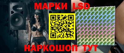гидропоника Долгопрудный