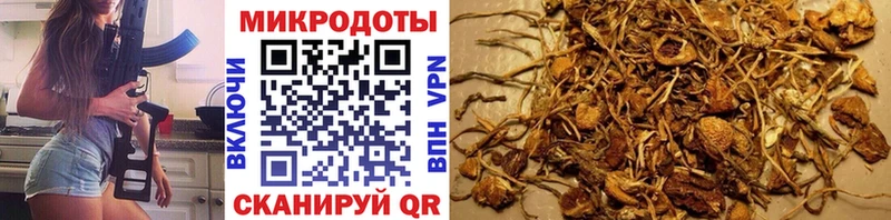 Псилоцибиновые грибы GOLDEN TEACHER  Ишимбай 