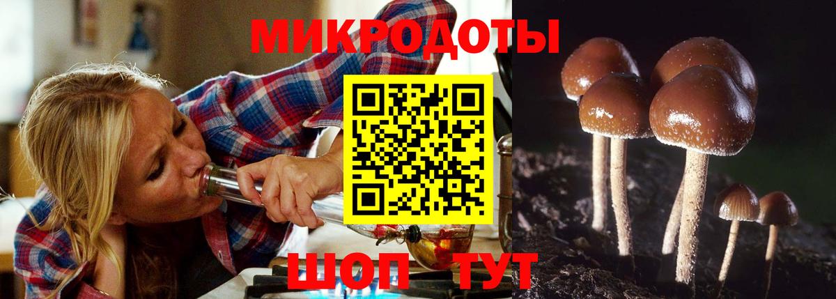 Псилоцибиновые грибы GOLDEN TEACHER Ишимбай